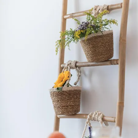 Disis בית נופש *