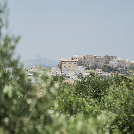 Disis בית נופש