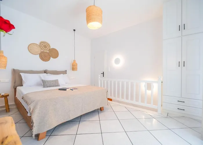 Disis Hébergement de vacances Naxos City