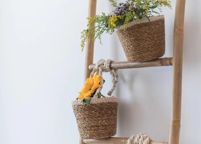 Disis Casa de Férias *